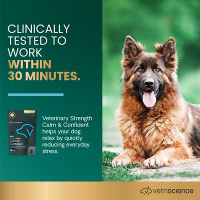 Composure Pro - Suplemento calmante masticable suave con sabor a pollo para perros, 60 unidades