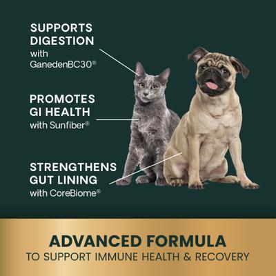 Suplemento digestivo masticable suave con sabor a pato para perros y gatos, 60 unidades