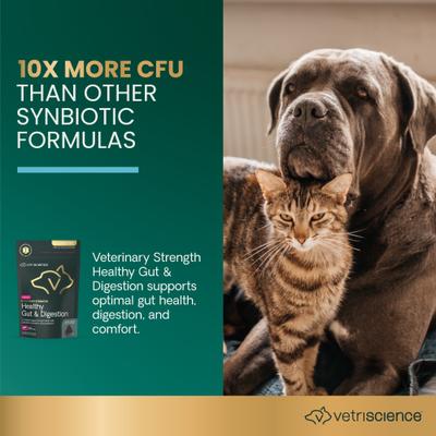 Suplemento digestivo masticable suave con sabor a pato para perros y gatos, 60 unidades