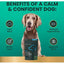 Composure - Suplemento calmante para perros con sabor a tocino (120 unidades)