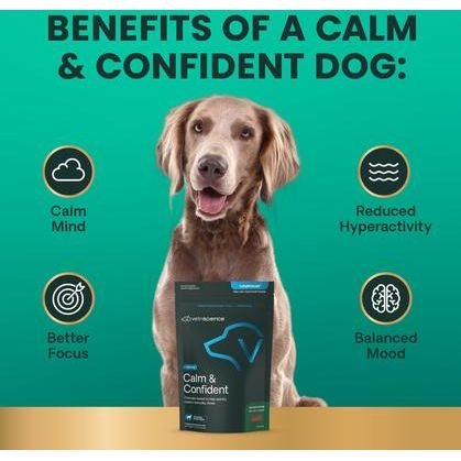 Composure - Suplemento calmante para perros con sabor a tocino (120 unidades)