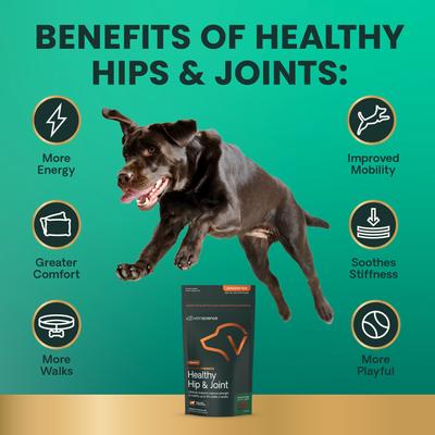 Suplemento para las articulaciones GlycoFlex Plus con sabor a tocino para perros medianos y grandes, 120 unidades