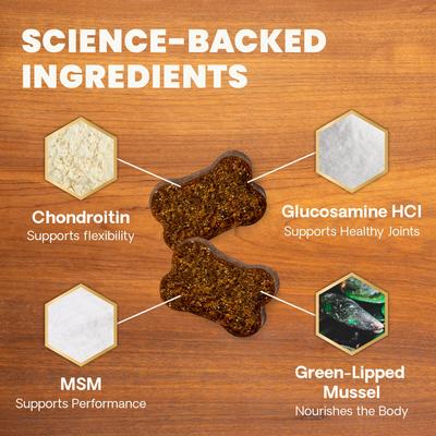 Suplemento para las articulaciones GlycoFlex Plus con sabor a tocino para perros medianos y grandes, 120 unidades