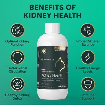 Suplemento renal líquido con sabor cremoso a pollo para gatos, Veterinary Strength Renal Essentials Pro, para la salud renal, botella de 113 ml