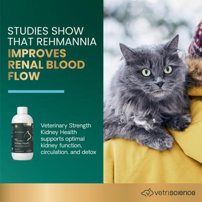 Suplemento renal líquido con sabor cremoso a pollo para gatos, Veterinary Strength Renal Essentials Pro, para la salud renal, botella de 113 ml