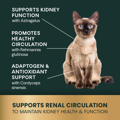 Suplemento renal líquido con sabor cremoso a pollo para gatos, Veterinary Strength Renal Essentials Pro, para la salud renal, botella de 113 ml