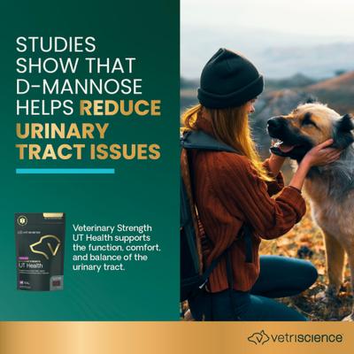 Masticables con sabor a pollo UT Health de Veterinary Strength, suplemento para la vejiga y el tracto urinario de perros, 60 unidades