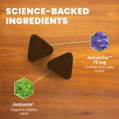 Amilextin, suplemento masticable suave con sabor a pollo para perros, máxima potencia veterinaria, confort y facilidad, 60 comprimidos