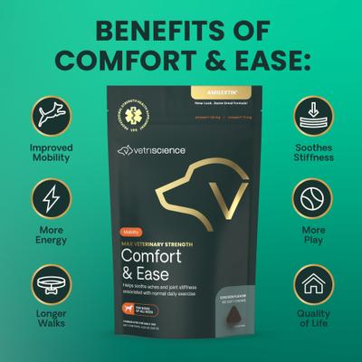 Amilextin, suplemento masticable suave con sabor a pollo para perros, máxima potencia veterinaria, confort y facilidad, 60 comprimidos