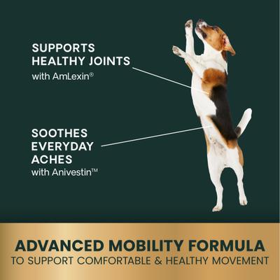 Amilextin, suplemento masticable suave con sabor a pollo para perros, máxima potencia veterinaria, confort y facilidad, 60 comprimidos