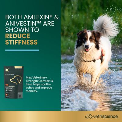 Amilextin, suplemento masticable suave con sabor a pollo para perros, máxima potencia veterinaria, confort y facilidad, 60 comprimidos