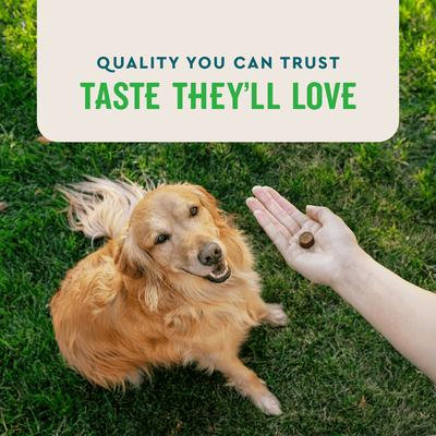 VetIQ, Anal Gland Soft Chews, Pumpkin Seed Powder + Quercetin + Tynagen + L. acidophilus, sabor Ahumado de Nogal, 60 masticables.