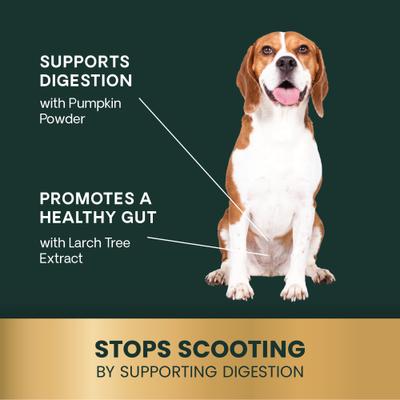 Express Ease Soft Chews - Suplemento digestivo para perros, 40 unidades
