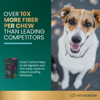 Express Ease Soft Chews - Suplemento digestivo para perros, 40 unidades