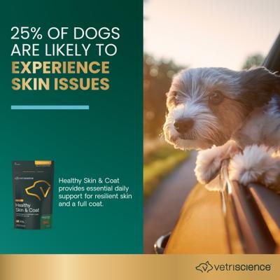 Masticables blandos Derma Strength para la piel y el pelaje de perros, 70 unidades