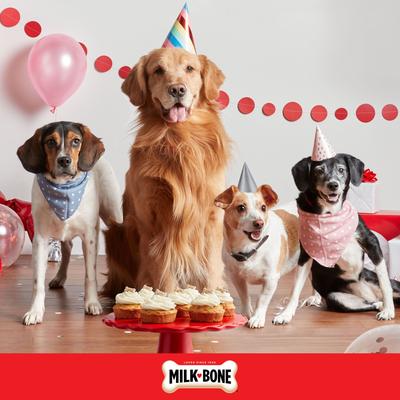¡CELEBRATE! Crujientes premios extra grandes para perros, bolsa de 75 g