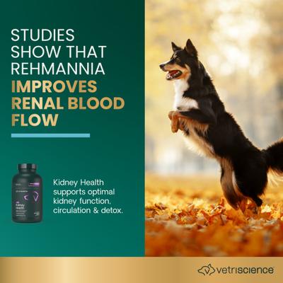 Suplemento masticable Renal Essentials para la salud renal con sabor a humo para perros, 60 comprimidos