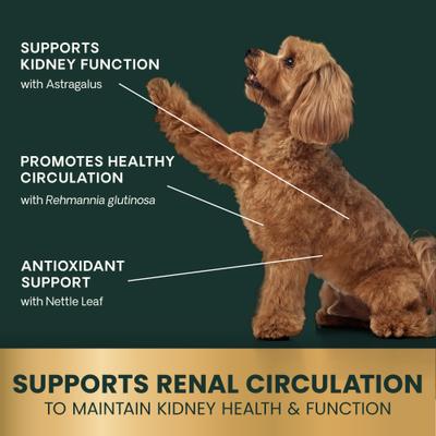 Suplemento masticable Renal Essentials para la salud renal con sabor a humo para perros, 60 comprimidos