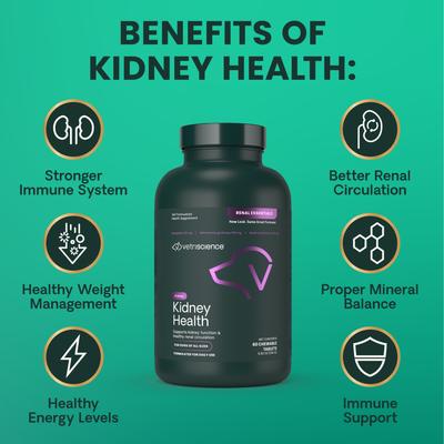 Suplemento masticable Renal Essentials para la salud renal con sabor a humo para perros, 60 comprimidos