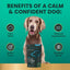 Composure Calm & Confident - Masticables con sabor a mantequilla de maní, clínicamente probados, suplemento calmante y para la ansiedad para perros, 120 unidades