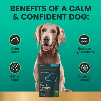 Composure Calm & Confident - Masticables con sabor a mantequilla de maní, clínicamente probados, suplemento calmante y para la ansiedad para perros, 120 unidades
