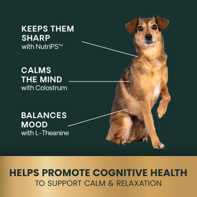 Golden Years Senior Calm & Confident - Masticables con sabor a pollo y calostro, suplemento calmante y para la salud cerebral de perros mayores, 60 unidades