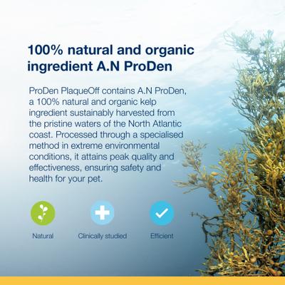 ProDen, PlaqueOff Powder for Cats, A.N ProDen, 40 g.