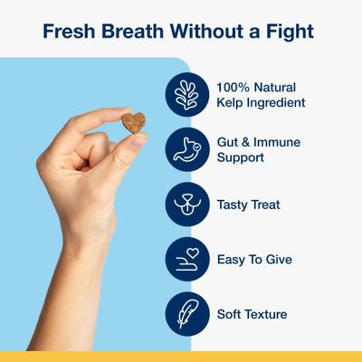 ProDen, PlaqueOff Holistic Soft Bites Oral Care with Gut & Immune Support, A.N ProDen + Bacillus coagulans + Chicory Root, sabor Camote y Calabaza, 170 g.
