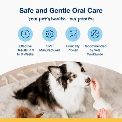 ProDen, PlaqueOff Holistic Soft Bites Oral Care with Hip & Joint, A.N ProDen + Glucosamine + Chondroitin, sabor Camote y Pollo, 170 g.