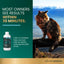 Composure - Suplemento líquido calmante y ansiolítico sin sabor para perros y gatos (botella de 236 ml)