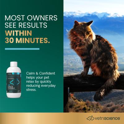 Composure - Suplemento líquido calmante y ansiolítico sin sabor para perros y gatos (botella de 236 ml)