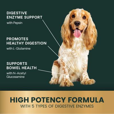 Comprimidos masticables probióticos BD con sabor a pollo, suplemento digestivo para perros, 120 comprimidos
