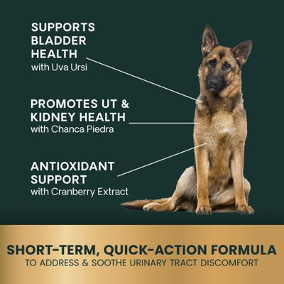 Suplemento urinario masticable con sabor a humo UT Strength para perros, 90 comprimidos