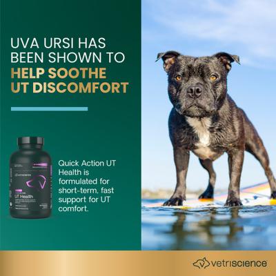 Suplemento urinario masticable con sabor a humo UT Strength para perros, 90 comprimidos