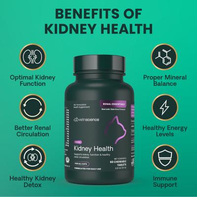 Comprimidos masticables Renal Essentials con sabor a pollo y pescado, suplemento renal para gatos, 60 comprimidos