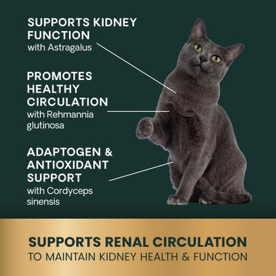 Comprimidos masticables Renal Essentials con sabor a pollo y pescado, suplemento renal para gatos, 60 comprimidos