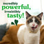 Feline Premios Dentales Naturales para Gatos Adultos 16 presentaciones