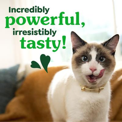 Feline Premios Dentales Naturales para Gatos Adultos 16 presentaciones