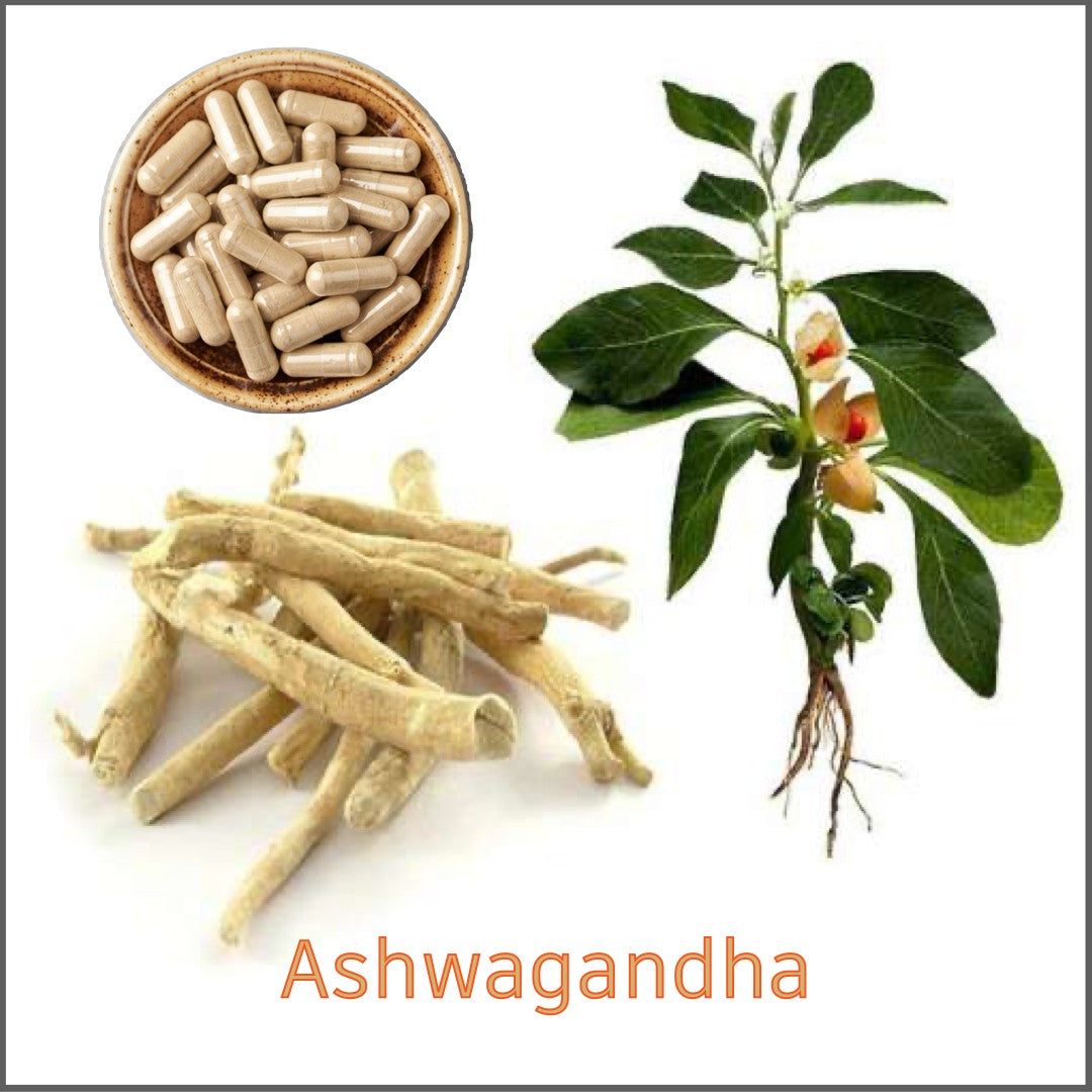 Ashwagandha