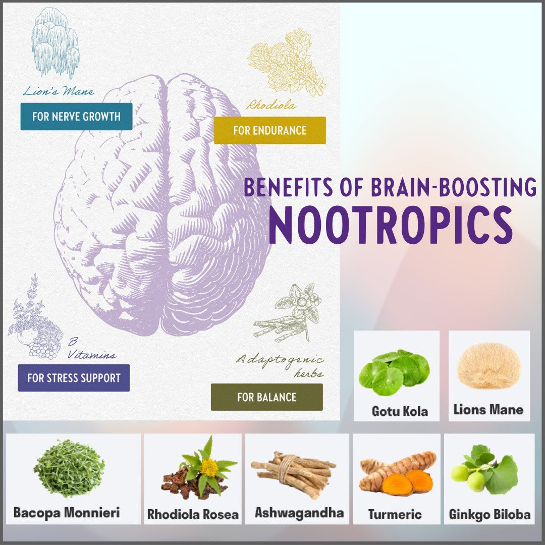 Hongos y Nootrópicos