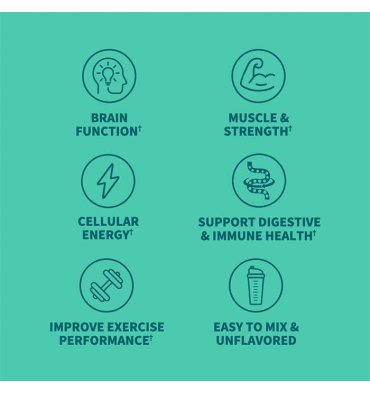 Creatina Monihidratada adicionada con Probióticos. 348 gr.