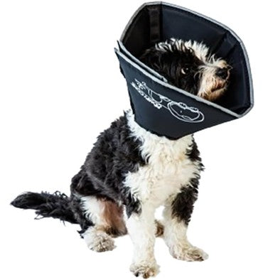 Collar Isabelino Suave para Perro tamaño Large