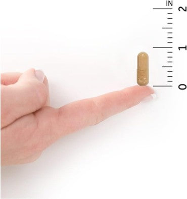 Probióticos Raw Cuidado Vaginal y Urinario, 50 billones. 30 vcaps