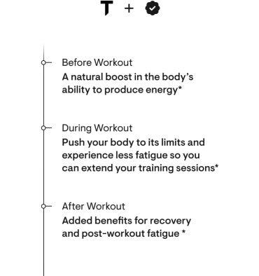 Pre Workout Elite Mezcla de Hongos. 122 gr.