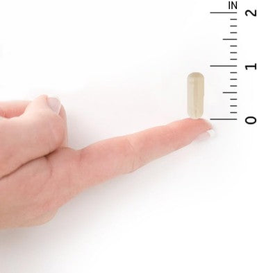 Probióticos Prenatal 20 billones. 30 Vcaps