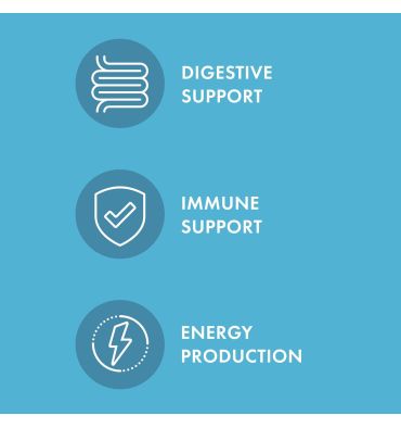 Probióticos para Perros y Gatos. 90 gr.