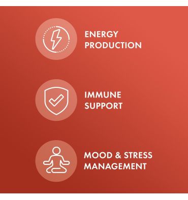 Ashwagandha Orgánica, 60 caps