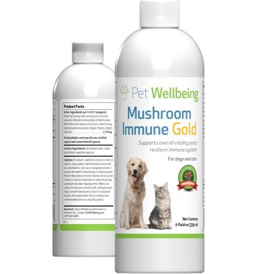 Apoyo Holístico contra el Cancer a base de Hongos. 236 ml.