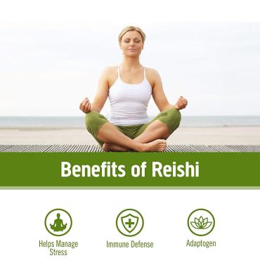 Hongo Reishi, soporte Inmune y Adaptógeno. 90 caps