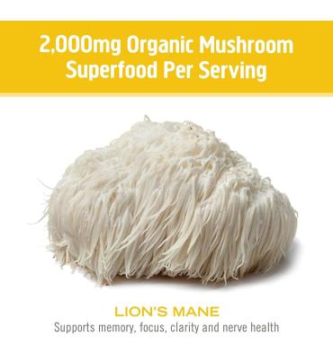 Hongo Melena de León, Memoria, Concentración y Salud Nerviosa. 90 caps.